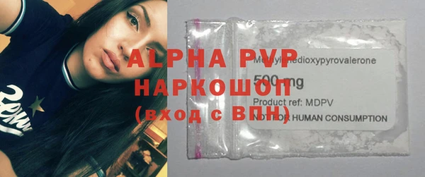 ГАЛЛЮЦИНОГЕННЫЕ ГРИБЫ Богданович