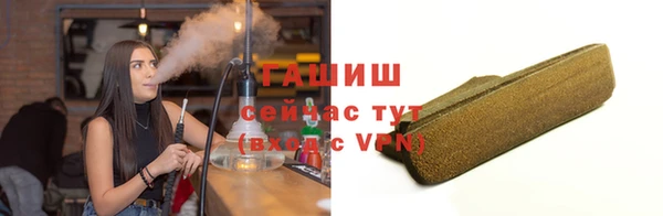 хмурый Арсеньев