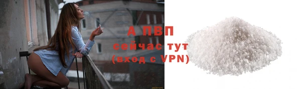ГАЛЛЮЦИНОГЕННЫЕ ГРИБЫ Богданович