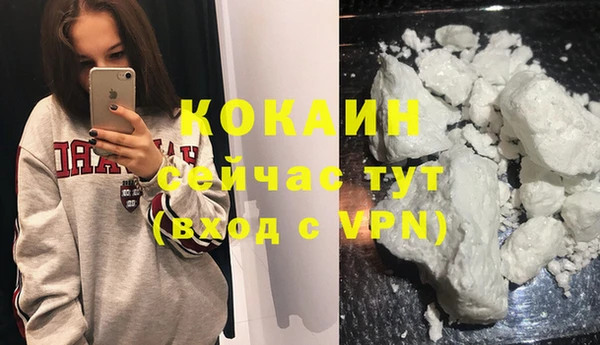 ГАЛЛЮЦИНОГЕННЫЕ ГРИБЫ Богданович