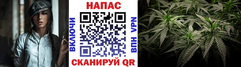 Марихуана тримм  наркошоп  MEGA ТОР  Чудово 